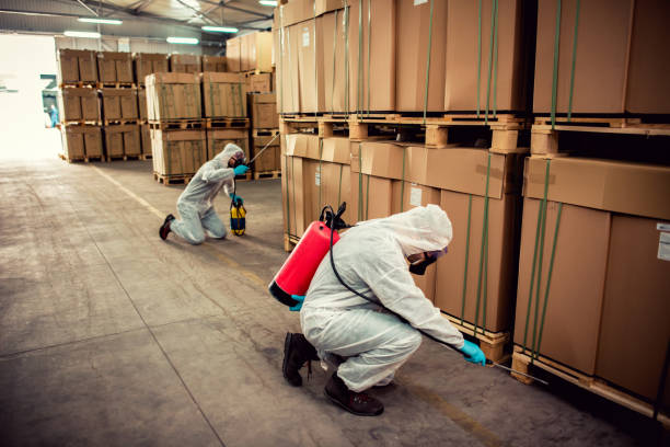Best Mosquito Control Services  in Governors Village, NC
