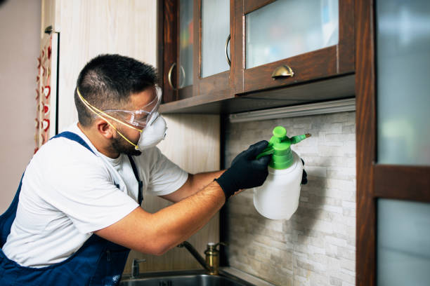 Best Bed Bug Extermination  in Governors Village, NC