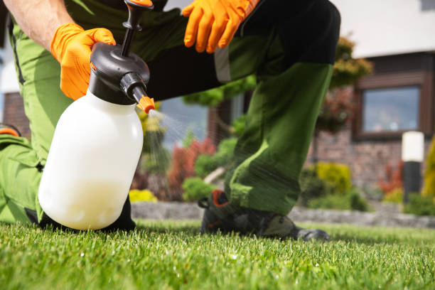 Best Rat Extermination Near Me  in Governors Village, NC