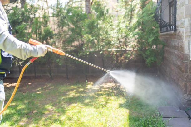 Best Wasp Removal Services  in Governors Village, NC