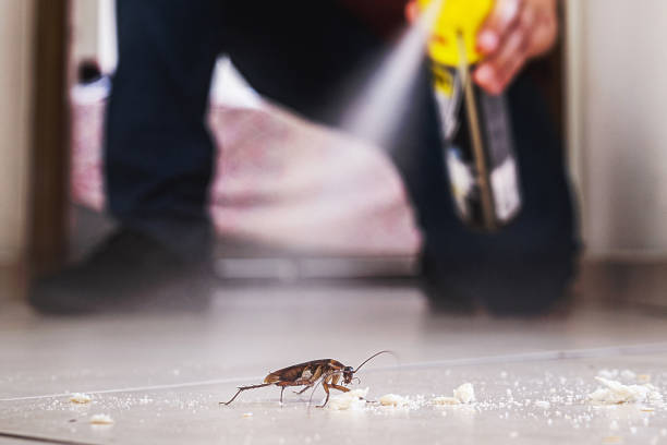 Best Affordable Pest Control Services  in Governors Village, NC